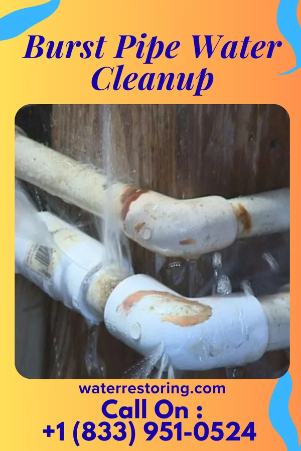 Burst Pipe Water Cleanup in Fincastle, KY